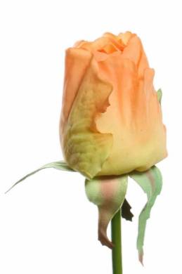 Искусственная роза для декора real-touch Джой 68 см персиковая (бутон)