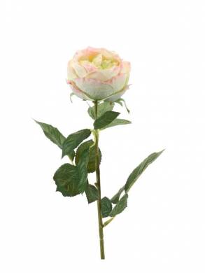 Роза искусственная Шанталь 10Dx70H кремово-розовая