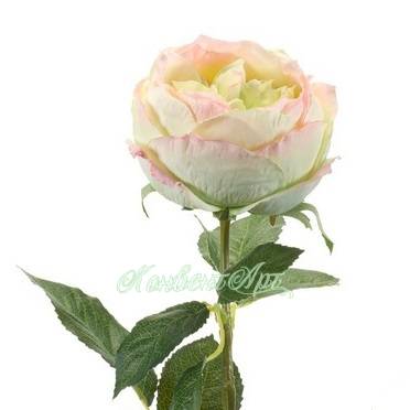 Роза искусственная Шанталь 10Dx70H кремово-розовая