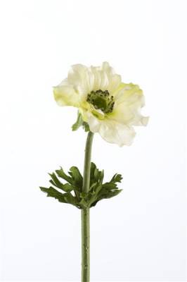 Анемон искусственный цветок 55Н кремовый