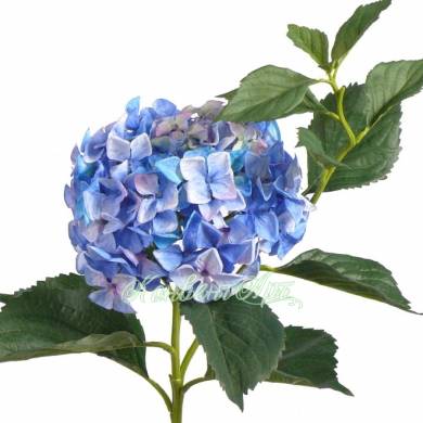 Гортензия Jumbo искусственный цветок 25Dx105H голубой (14 листов)