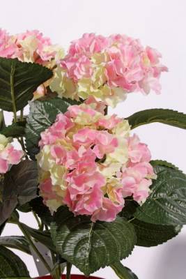 Гортензия Премиум искусственный цветок 36H розово-зеленая (в кашпо)