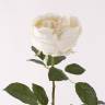 Искусственная роза декоративная Шанталь 10Dx70H крем