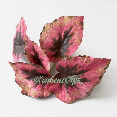 Бегония Королевская Рекс куст искусственный 6 листов,розовая Д25 Н28см