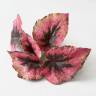 Бегония Королевская Рекс куст искусственный 6 листов,розовая Д25 Н28см