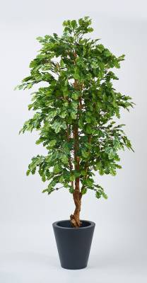 Дуб искусственное дерево с желудями, ствол натуральный Н210 см