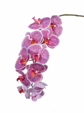 Орхидея искусственная Фаленопсис Jumbo real-touch 11Dx102H сиреневый (11 цветков)