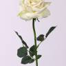 Роза Королевская искусственная 14Dx67Н кремовая