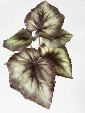 Бегония Королевская Рекс куст искусственный 6 листов,серо-зелёная Д25 Н28см