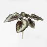 Бегония Королевская Рекс куст искусственный 6 листов,серо-зелёная Д25 Н28см
