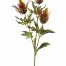Эрингиум (Синеголовник) искусственный цветок 65H бордовый (3 веточки)