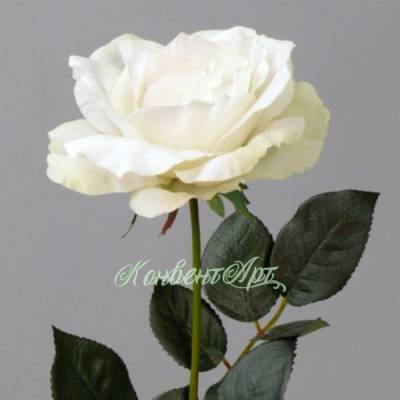 Искусственный цветок Роза Джой real-touch 73H бело-зеленая (распустившаяся)