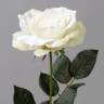 Искусственный цветок Роза Джой real-touch 73H бело-зеленая (распустившаяся)