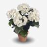 Гортензия кустовая искусственная, 5 белых соцветий Н40, D35 см