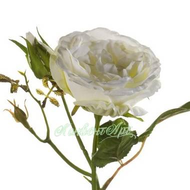 Искусственная роза с бутоном Анна 8Dx37H белая