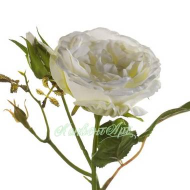 Искусственная роза с бутоном "Анна" 8Dx37H белая