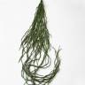 Корни декоративные искусственные ампельные 8 ветвей зелёные Н120 см               