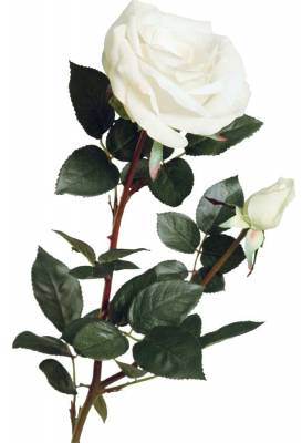 Роза Элизабет real-touch 85H бело-зеленый (с бутоном) искусственный цветок