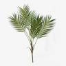 Пальма искусственная Хамедорея 5 веток зелёная без кашпо Н80см