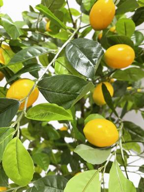 Лимонное дерево с плодами искусственное Д70 Н120 см