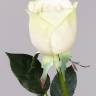 Искусственная роза для декора real-touch "Джессика" D5*H72 см зелено-белая