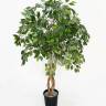 Фикус Бенджамина искусственное дерево, зеленый D90 Н150 см