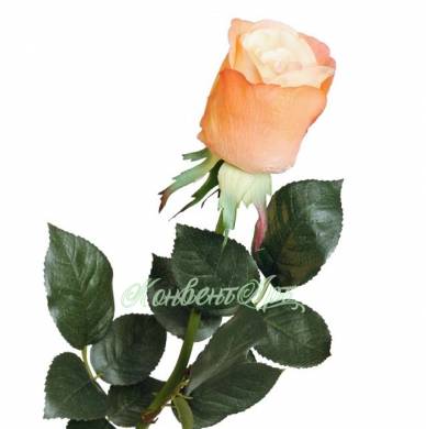 Искусственная роза для декора real-touch Джессика 5D*72H персиковая