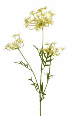 Укроп (Dill) искусственный цветок 80H желтый (2 веточки)