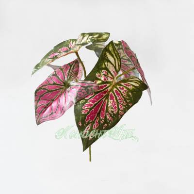 Каладиум (Крылья Ангела) куст искусственной зелени, 6 листов, розовый D25 Н28 см