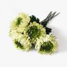 Хризантема Королевская зеленая в наборе 5 шт. искусственные цветы для декора интерьера Н75 см  