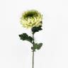 Хризантема Королевская зеленая в наборе 5 шт. искусственные цветы для декора интерьера Н75 см  