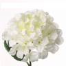 Гортензия "IMPERIAL" искусственный цветок 20Dx68Н белая (2 листа)