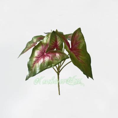 Каладиум (Крылья Ангела) куст искусственной зелени, 6 листов, зелёно-розовый D25 Н28 см