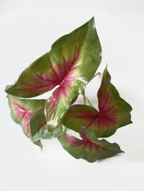 Каладиум (Крылья Ангела) куст искусственной зелени, 6 листов, зелёно-розовый D25 Н28 см