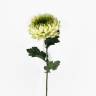 Хризантема Королевская зеленая в наборе 7 шт. искусственные цветы для декора Н75 см 