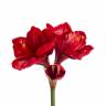 Амариллис искусственные цветы для декора 3шт real-touch Н67 см красные