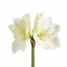 Амариллис искусственный real-touch 67H бело-зеленый (3 цветка)