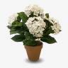 Гортензия кустовая искусственная, 5 белых соцветий Н37 Д30 см