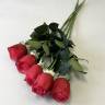 Розы красные Джессика в наборе 5 шт. искусственные цветы для декора Н72см