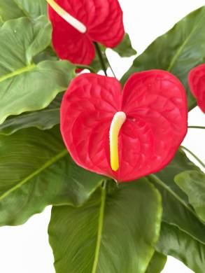 Антуриум цветущий красный искусственное растение для декора D70 H60 см