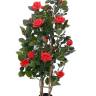 Роза искусственная кустовая Леди 100H красный (15 цветов)
