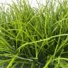 Куст травы Осоки искусственный зеленый Н40 см