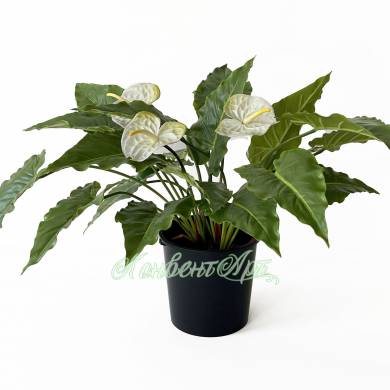 Антуриум цветущий белый искусственное растение для декора D70 H60 см