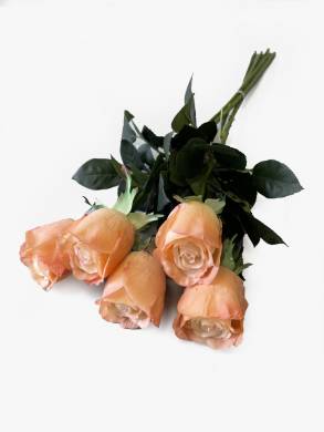 Розы коралловые Джессика в наборе 5 шт. искусственные цветы для декора Н72см 