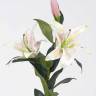 Лилия Кассабланка искусственная real-touch, бело-розовая (2 цветка + 1 бутон) Н95 см