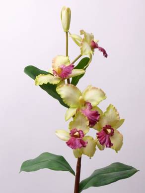 Орхидея искусственная Цимбидиум real-touch 96H салатовый (6 цветков + 4 листа)