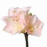 Амариллис искусственный цветок "Лиза" 18Dx54H розовый (3 цветка + 1 бутон)