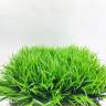 Искусственная газонная трава в модулях. Плотность посадки умеренная. Размер 50см х 50см х H10 см