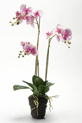 Орхидея искусственная Фаленопсис 75H сиреневая (с корнями и листьями в торфе)