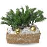 Новогодняя композиция из искусственных растений «Сугробы» в кокосовом боксе 30х15х12 см 1 1